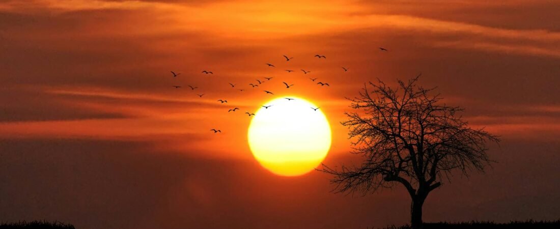 Twilight