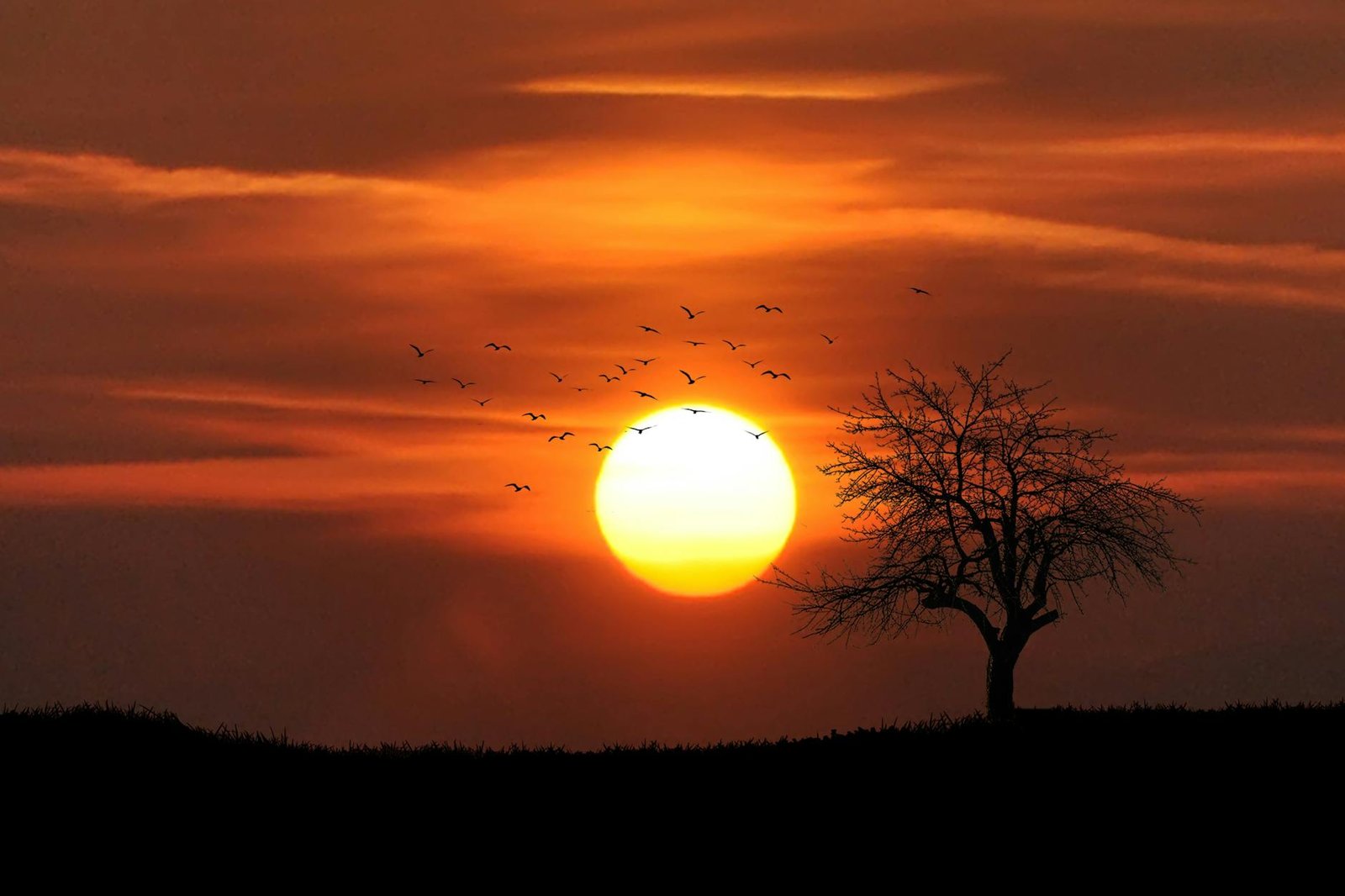 Twilight