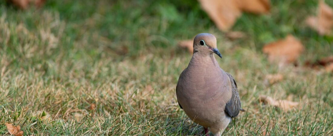 Pennsylvania Asbestos Lawyers