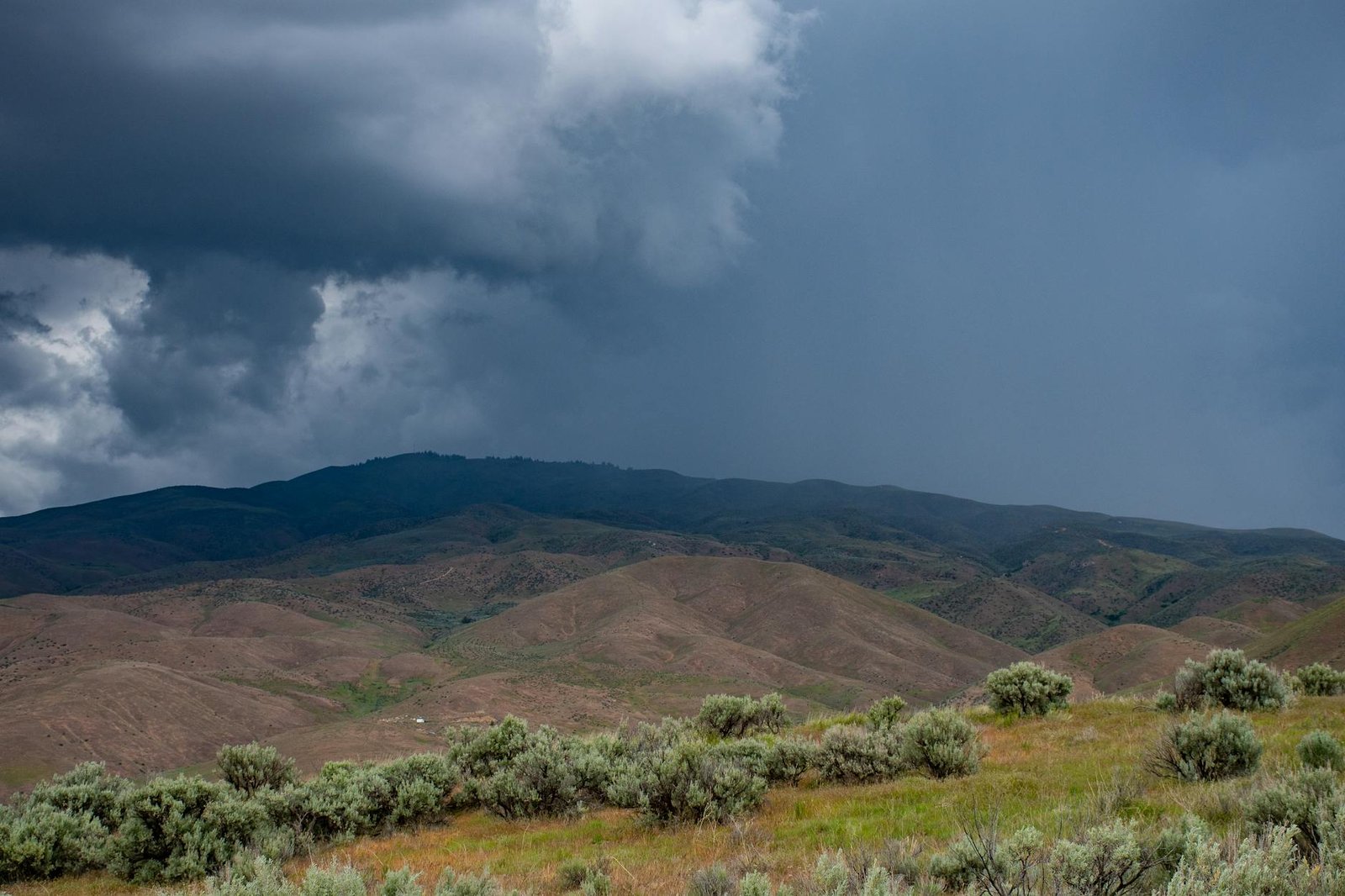 Wyoming Vs Colorado