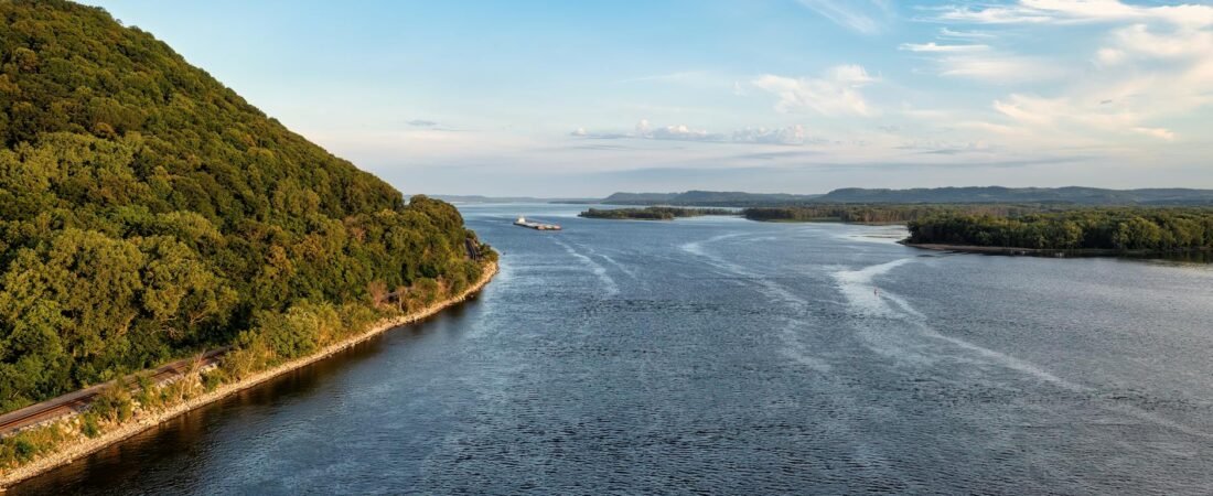 Minnesota State Senator Nicole Mitchell