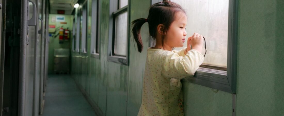 Girl Stabbed To Death On Train