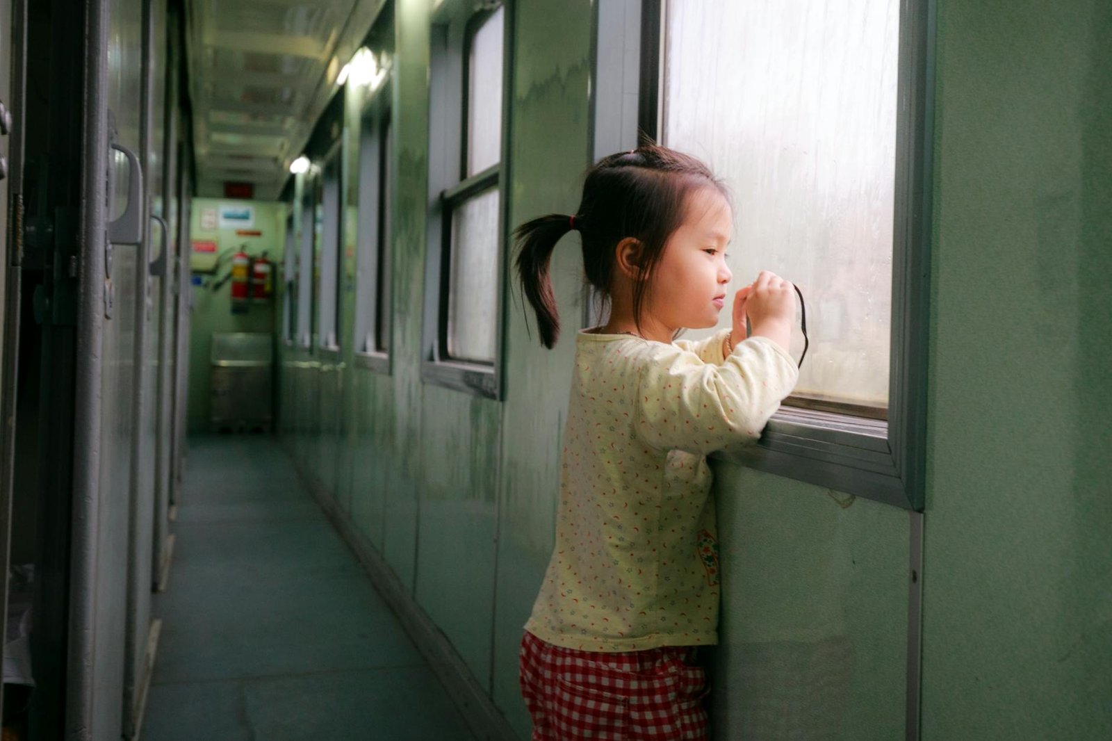 Girl Stabbed To Death On Train