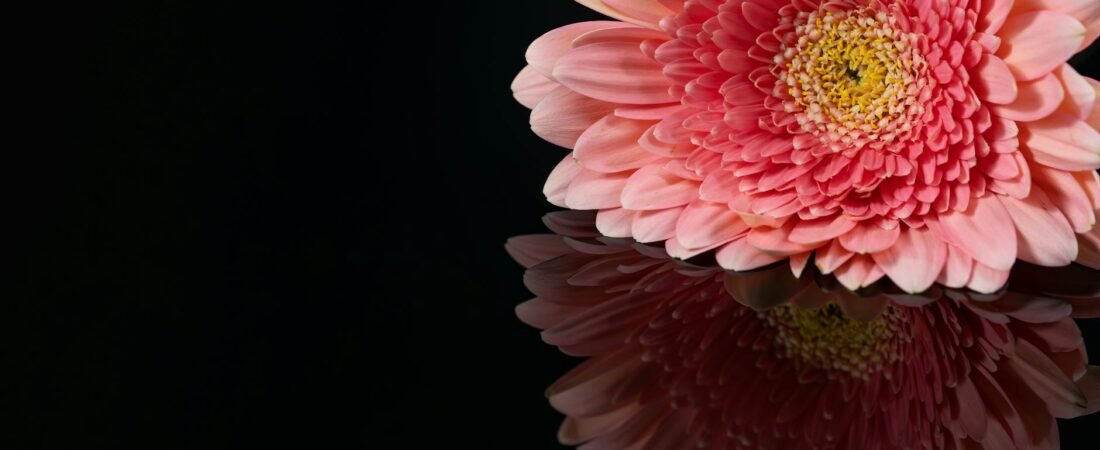 Stefon Diggs Net Worth