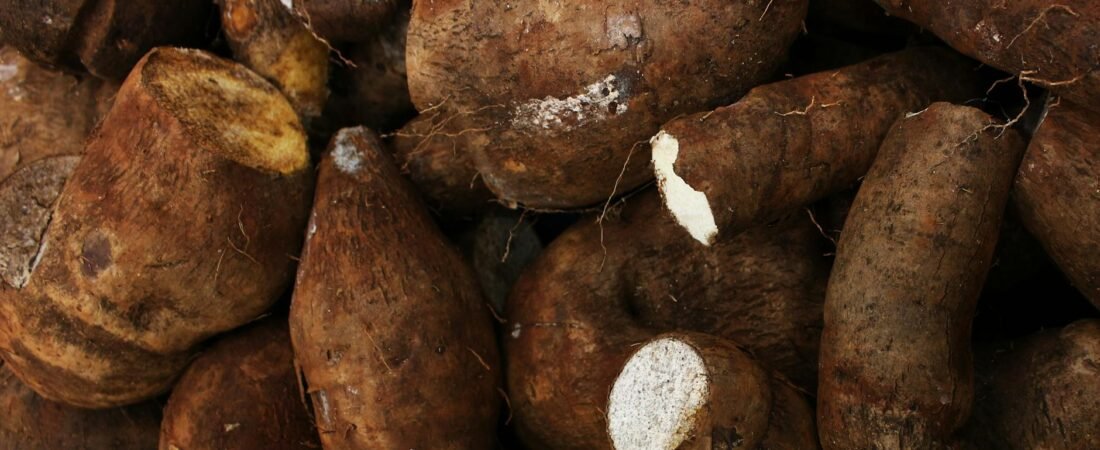 Whole Life Insurance Quotes